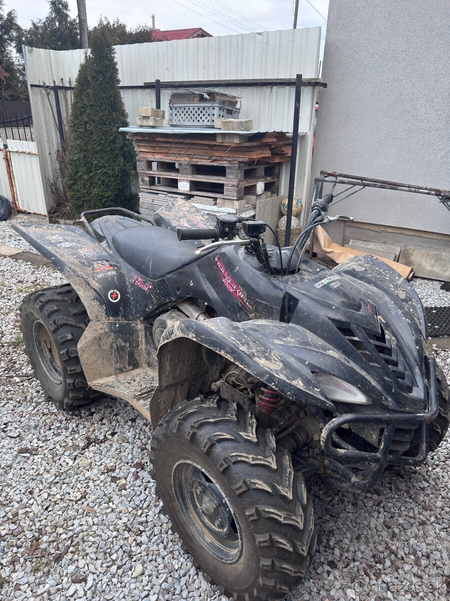 Yamaha Wolverine 450 - 2
