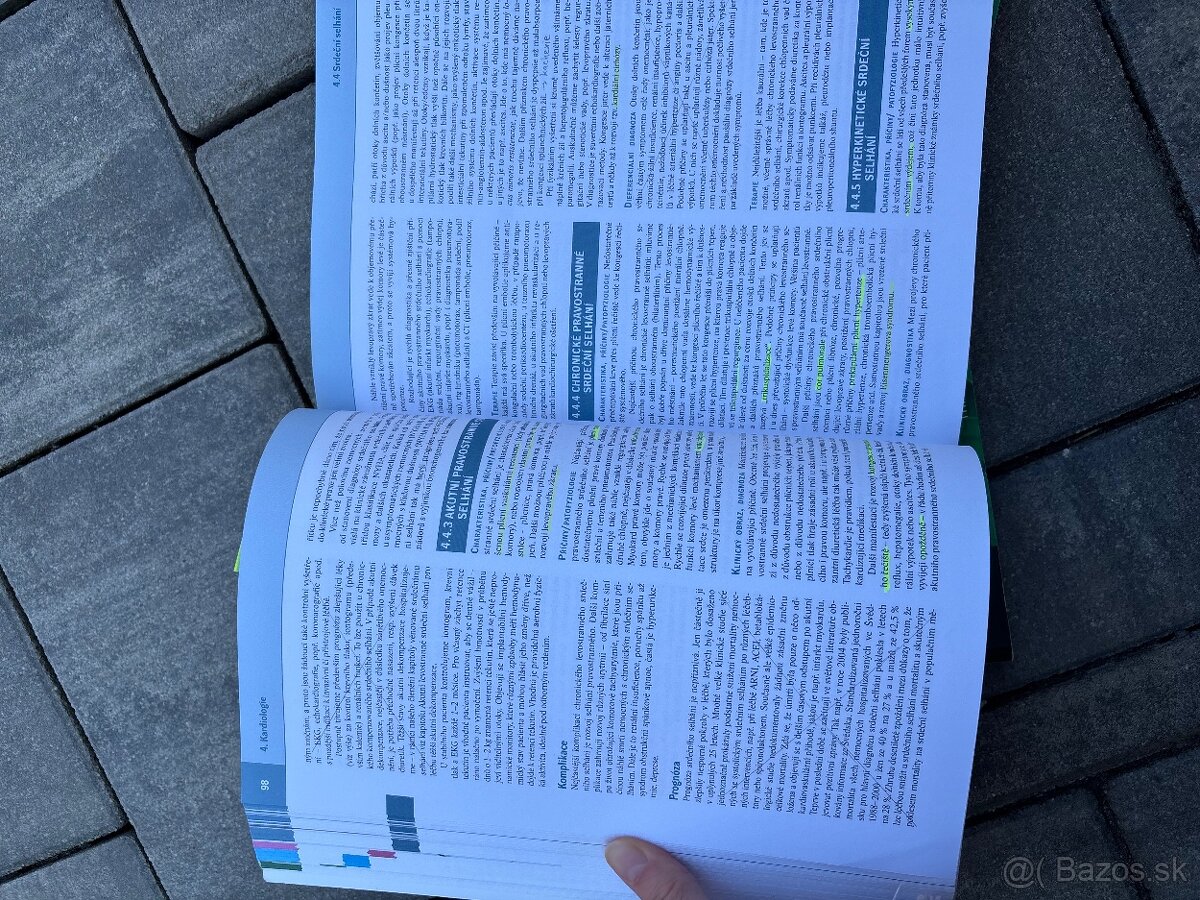 Interna Richard Češka - 2