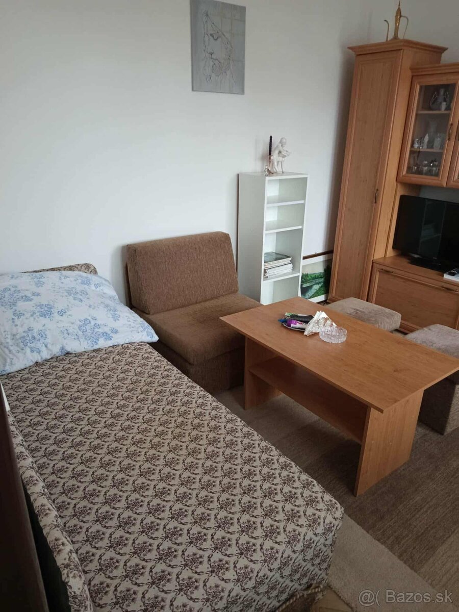 Prenajmem 1 izbový byt s lodžiou na Terase - 2