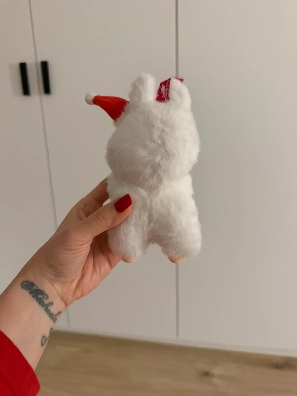 Labubu Coca Cola - 2