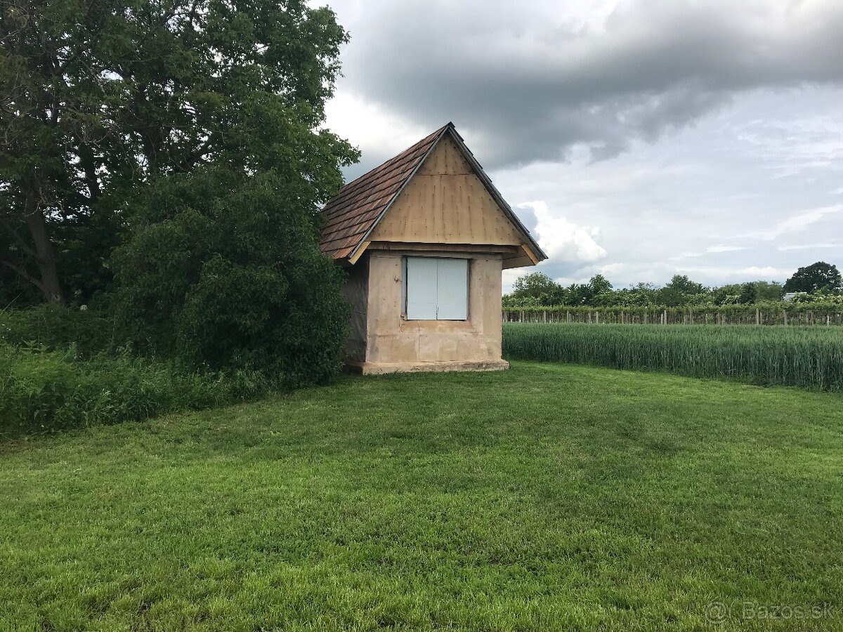 Predám pozemok vo vinicnej časti - 2