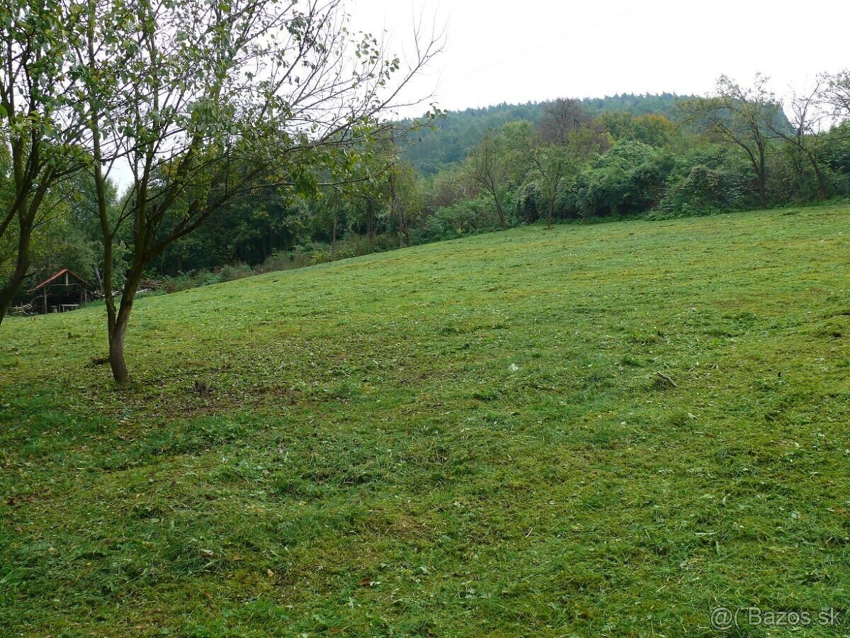 36e/m2 Na predaj- investičný pozemok Ilava - 2