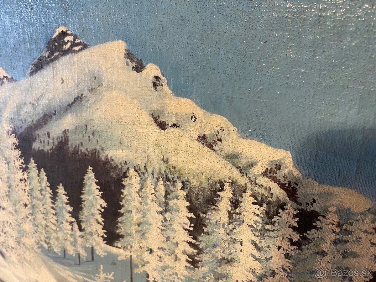 obraz Zasnežená krajina - 2