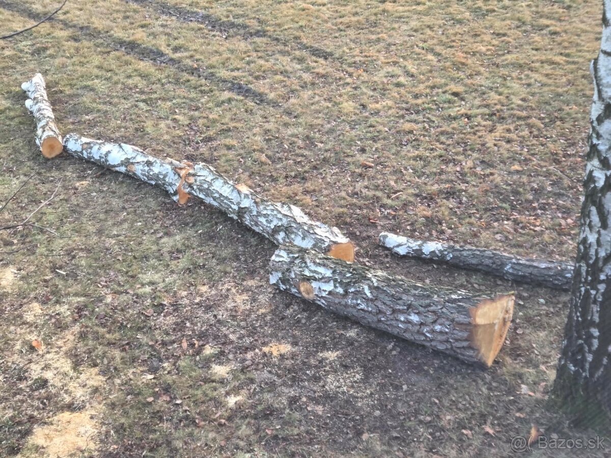 Lipove drevo pre rezbarov - 2