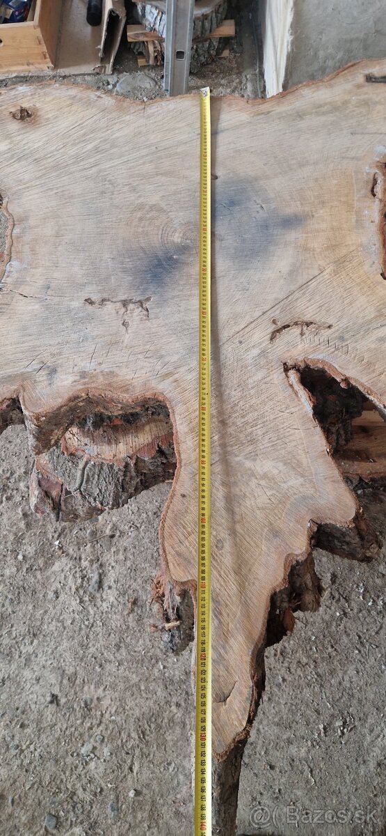 Dubové priečne rezy na stoly - 2