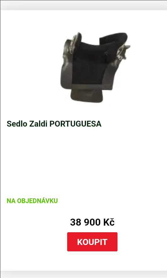 Sedlo Zaldi - 2
