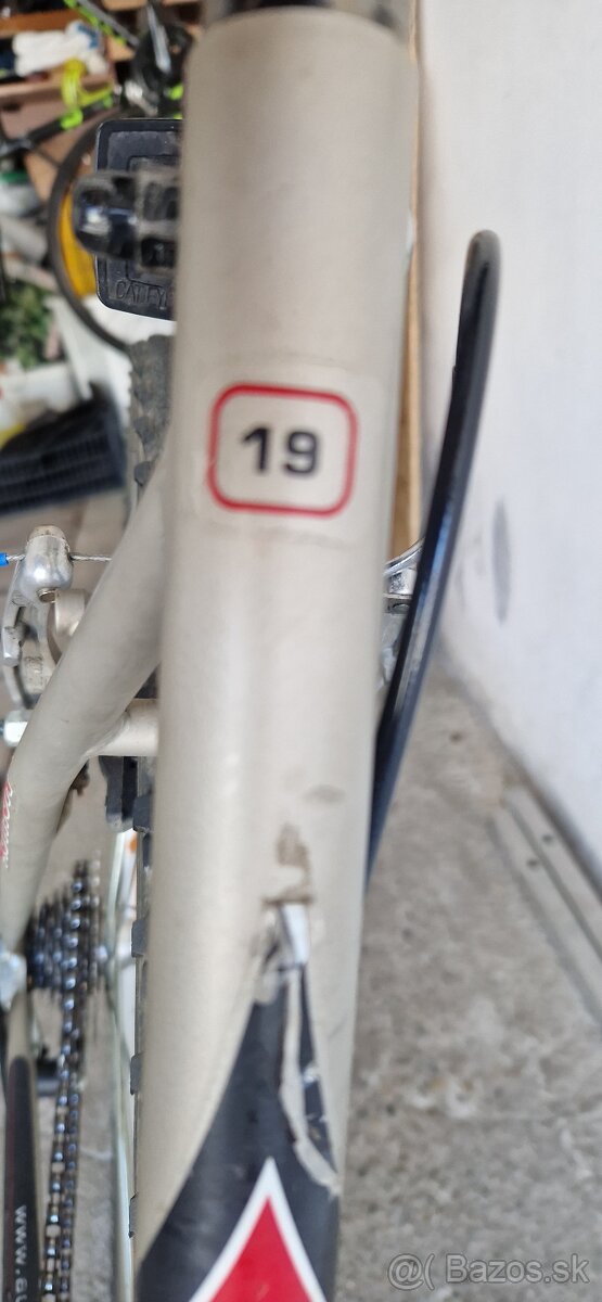 Dámsky bicykel - 2