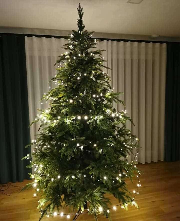 Vianočný stromček 250cm - 2