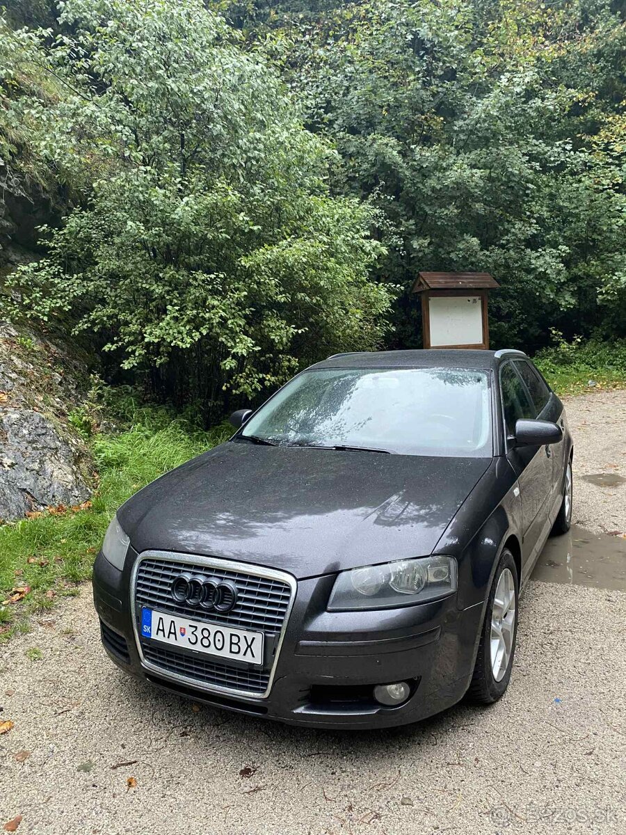 Audi A3 8p - 2