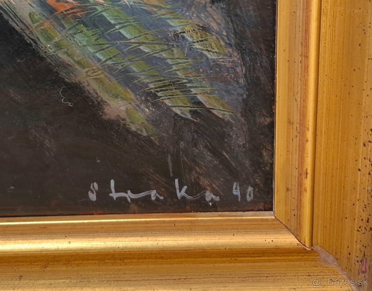 Kúpim obraz - autor Přemysl Straka - 2