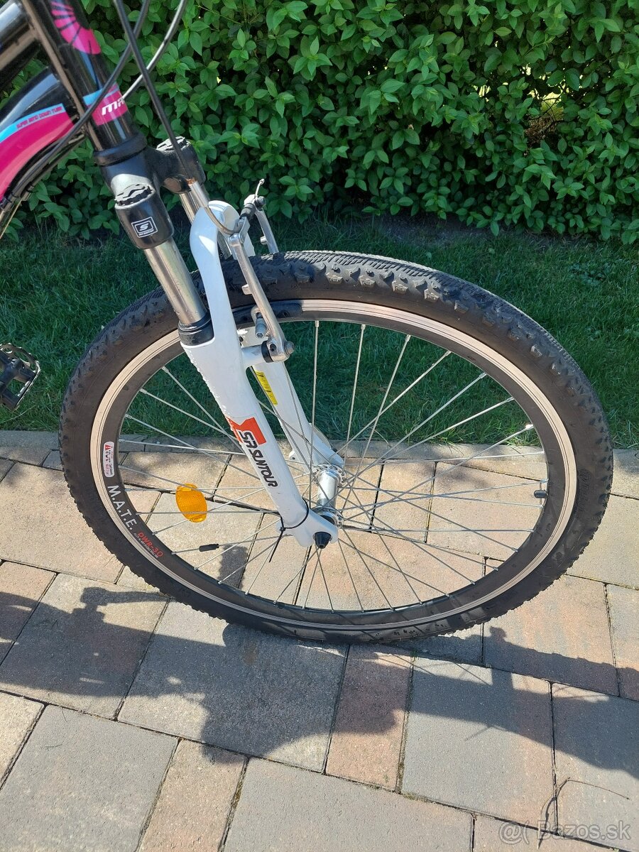 Horský bicykel - 2