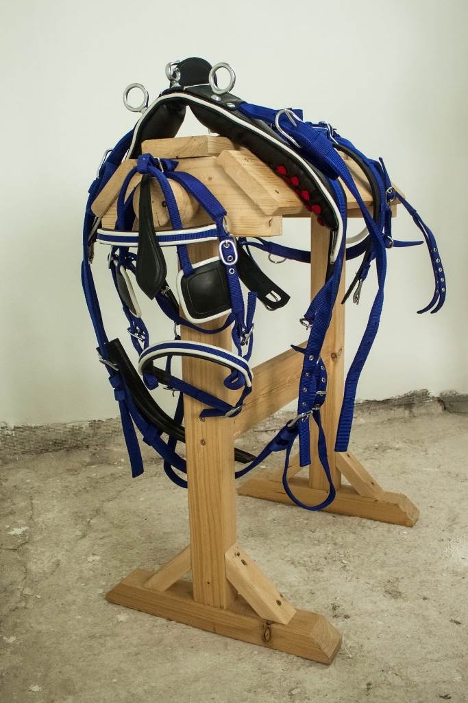 Poprsný nylonový postroj pre koňa modrý COB - 2