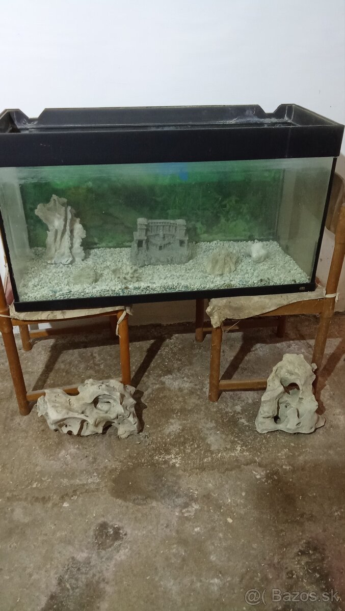Akvárium - 2