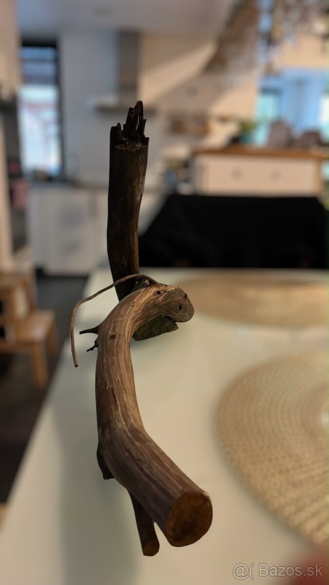 Koreň do akvária - 2