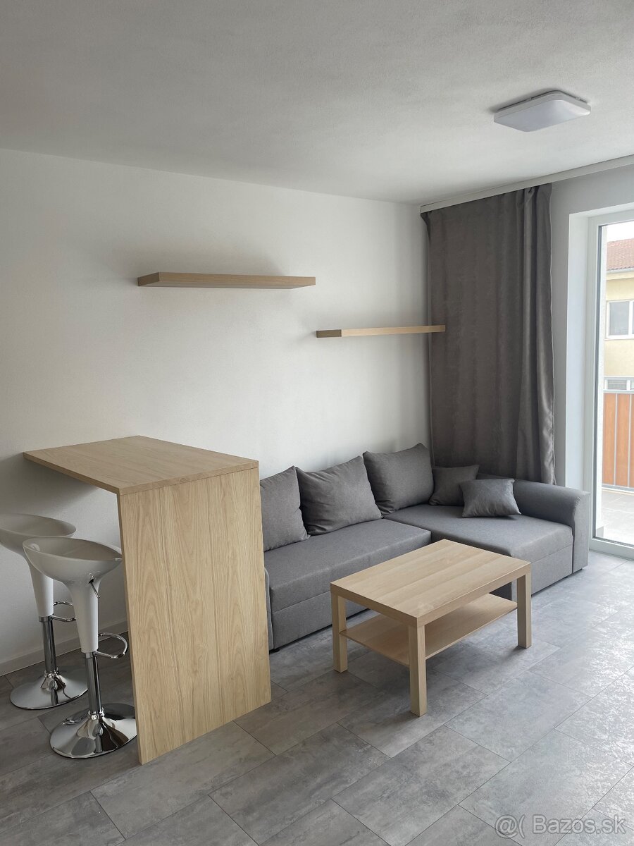 Prenajmem 1i byt Dog friendly - 2