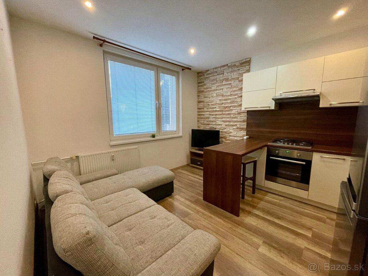 prenájom1 izbový byt - 2