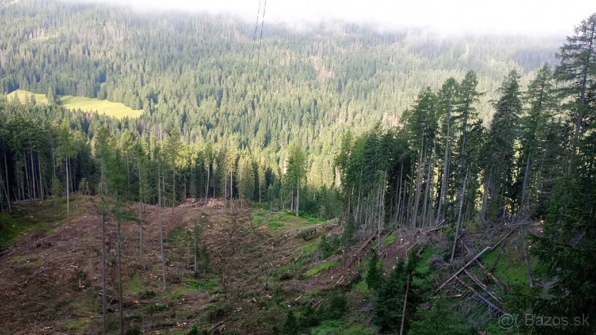 Hľadám prácu ako pilcika - 2