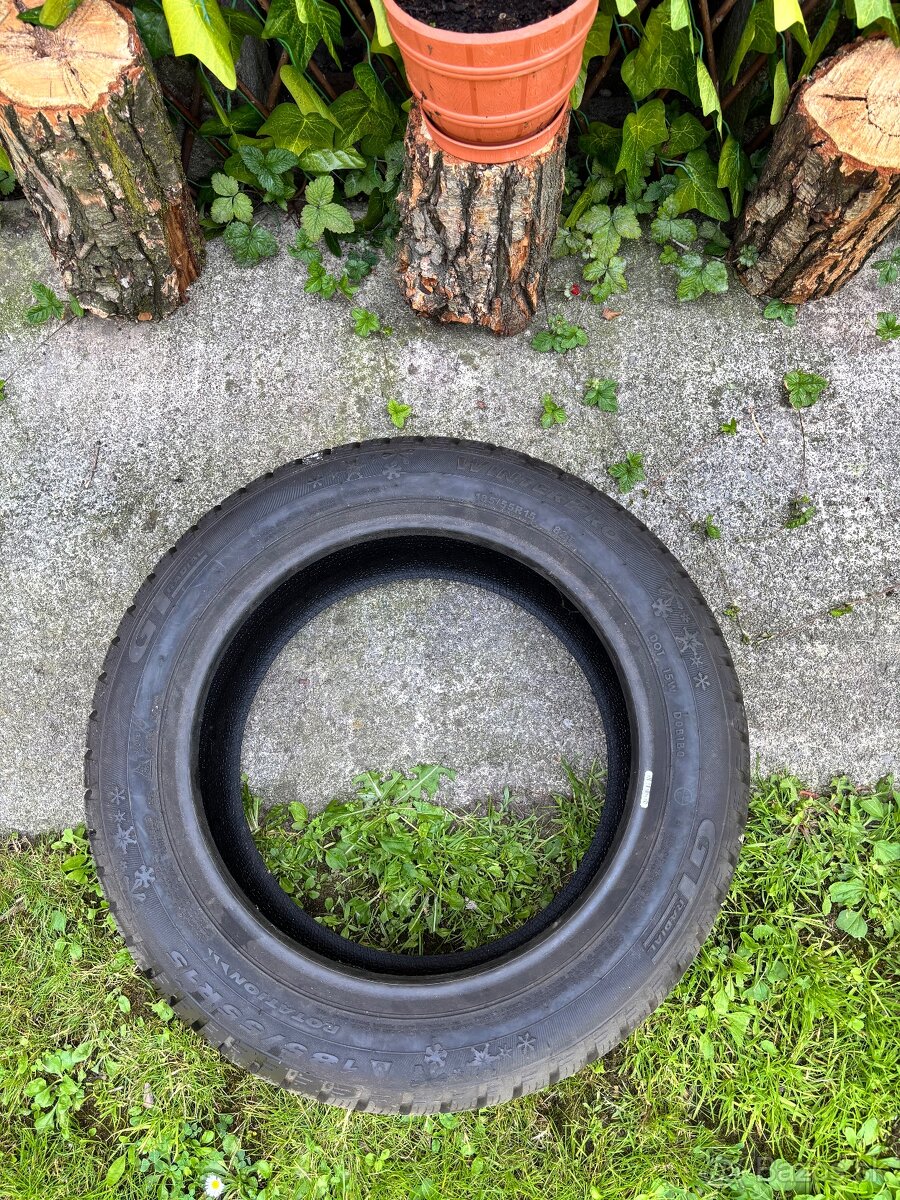 GT Radial Winter pro2 - 2