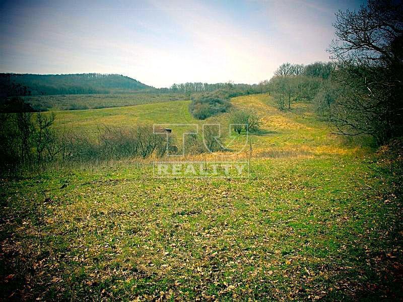 Súbor rekreačných pozemkov 1 ha v krásnej prírode , obec... - 2