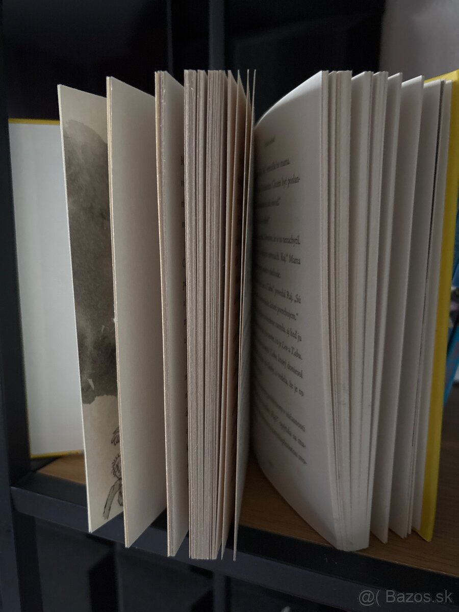 Pán smraďoch- David Williams - 2