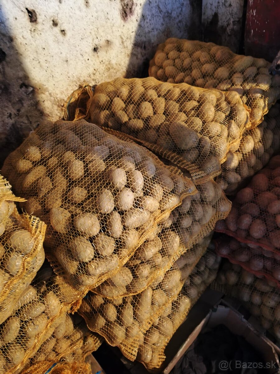 Predám drobné zemiaky - 2