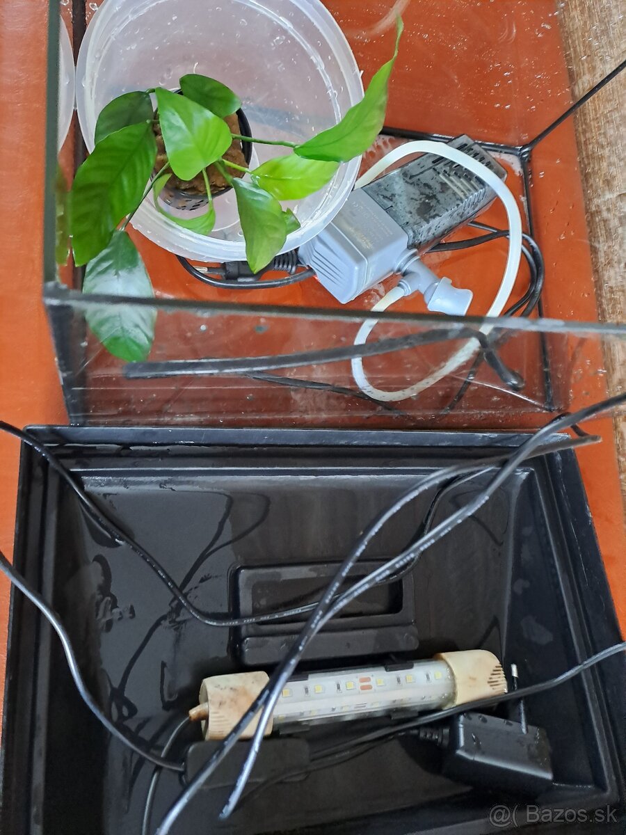 Akvárium, sklenený so všetkým - 2