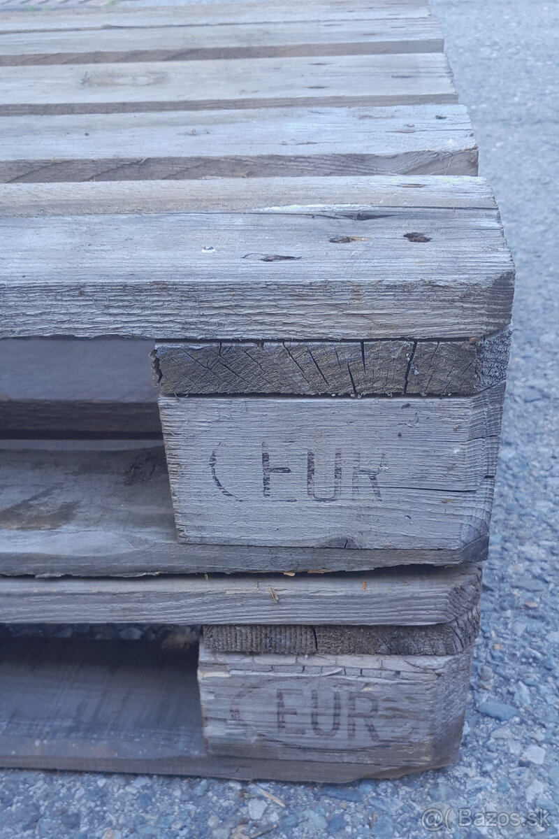 Predám europatetu 120x80 cm - 2