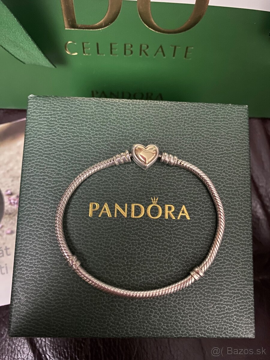 Pandora Bicolor náramok - 2
