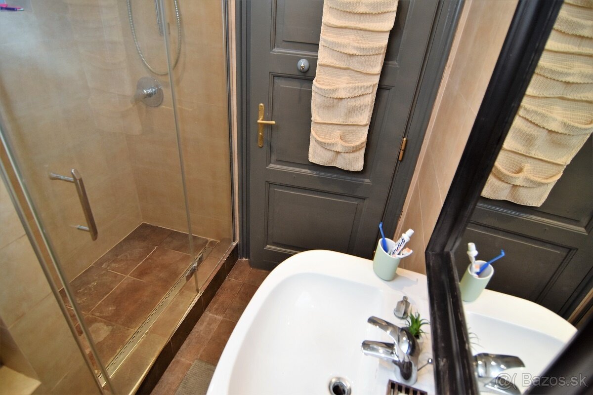 Štýlový, veľký 1-izbový byt v širšom centre - 2