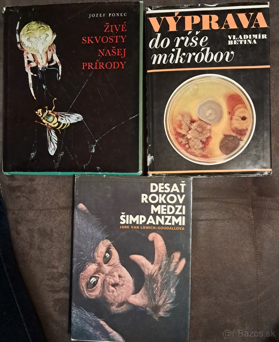 Živočíchy, vtáci - 2