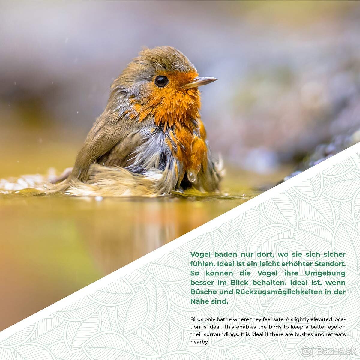 Stojanové kŕmidlo pre vtáky - 2