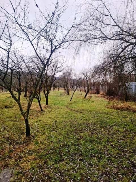 TOČNICA -chalupa s ovocným sadom 3220 m2 - 2