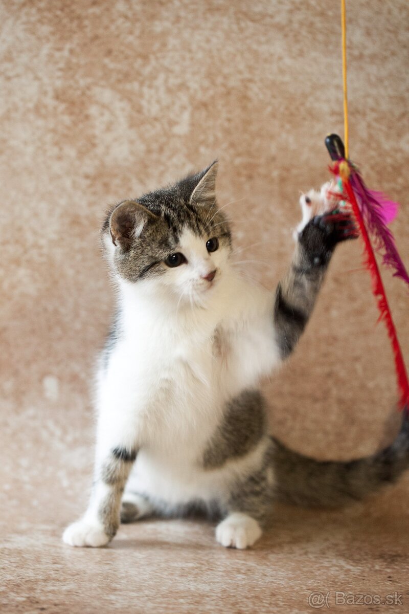 ❤ Lesana - nebojácna a vždy veselá slečna - 2