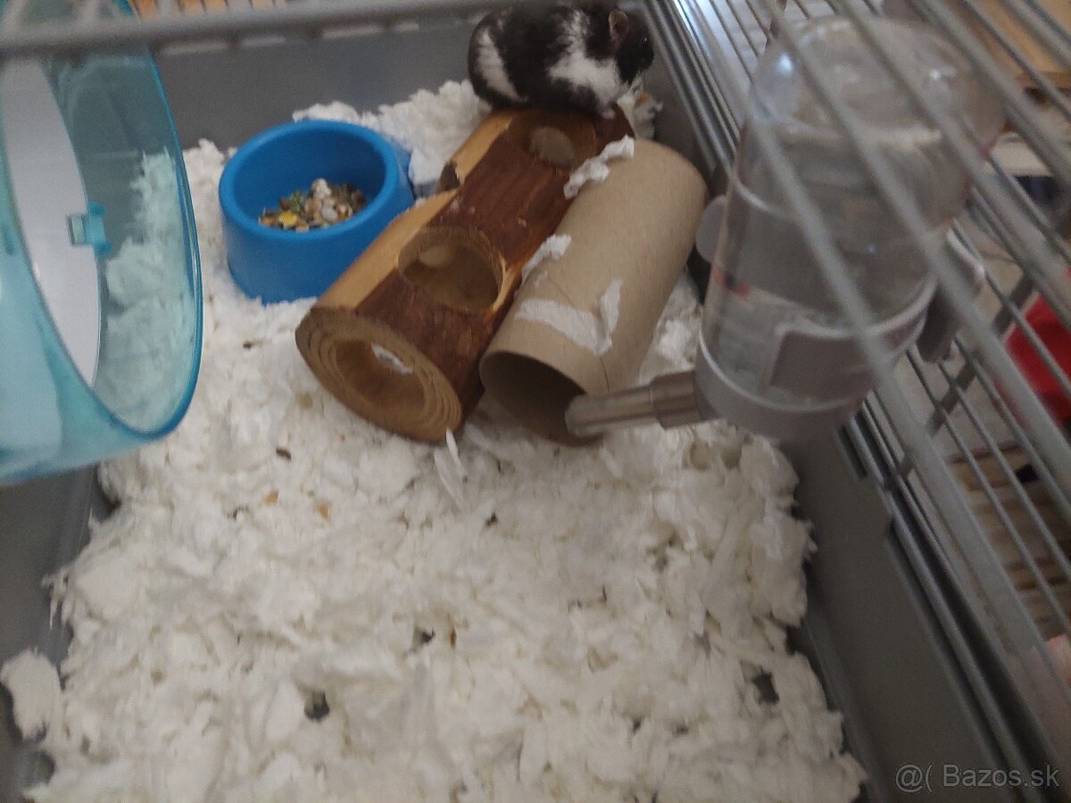 Džungarský škrečok s klietkou - 2