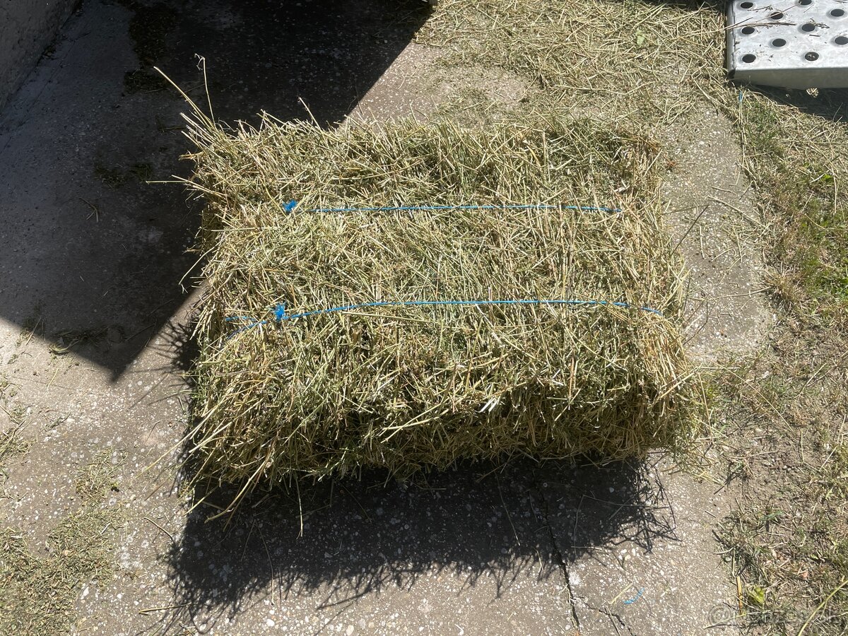 Predám balíky lucerny - 2