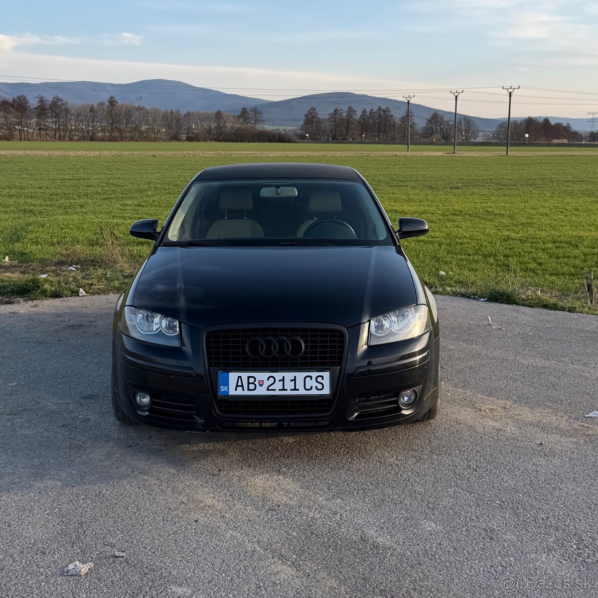AUDI A3 8P 2.0 TDI 103kw - 2