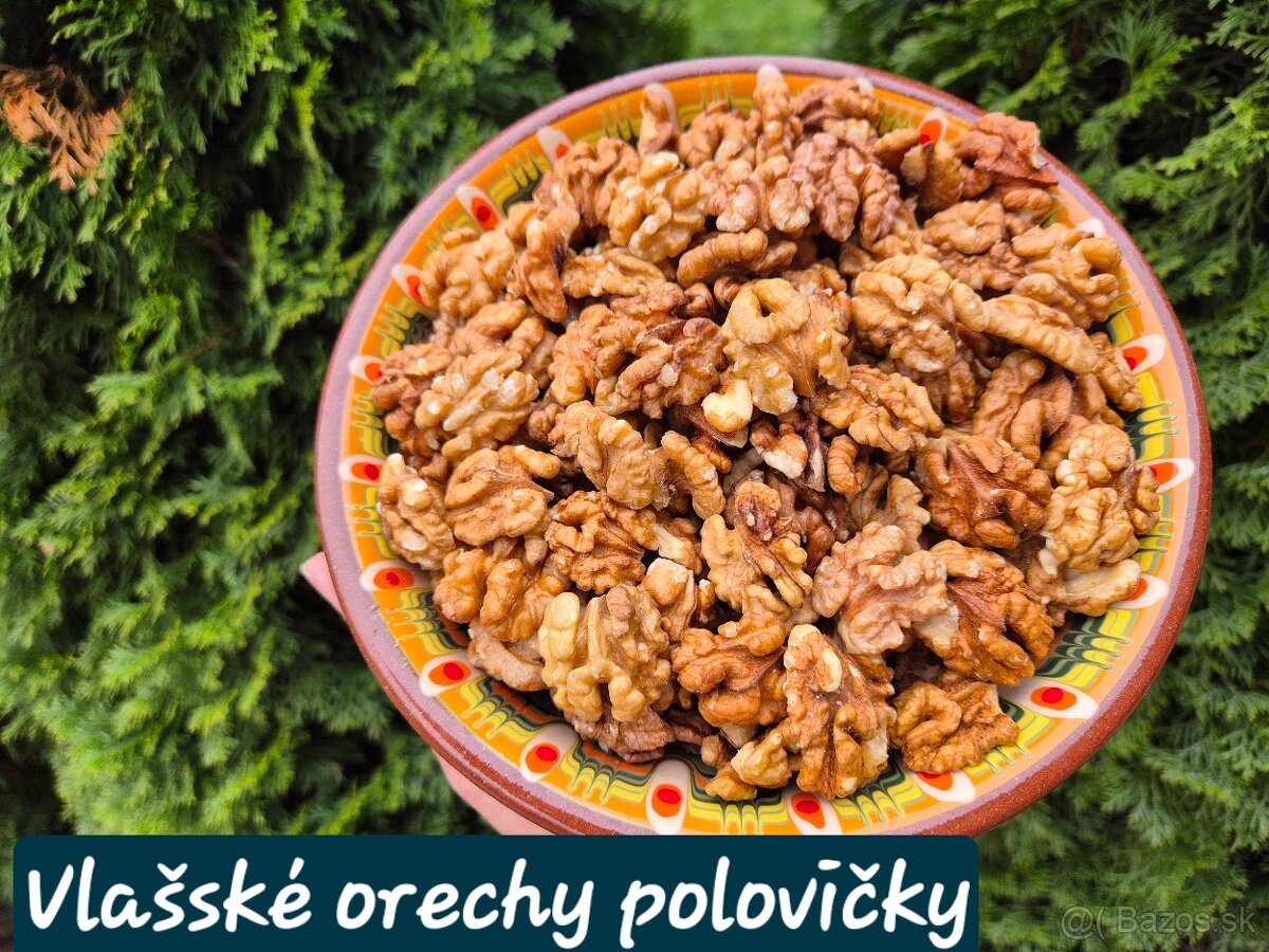 Vlašské orechy 2025 - 2