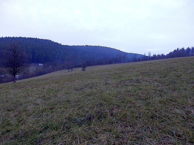 Na predaj veľký pozemok v Jasenici pri Považskej Bystrici - 2