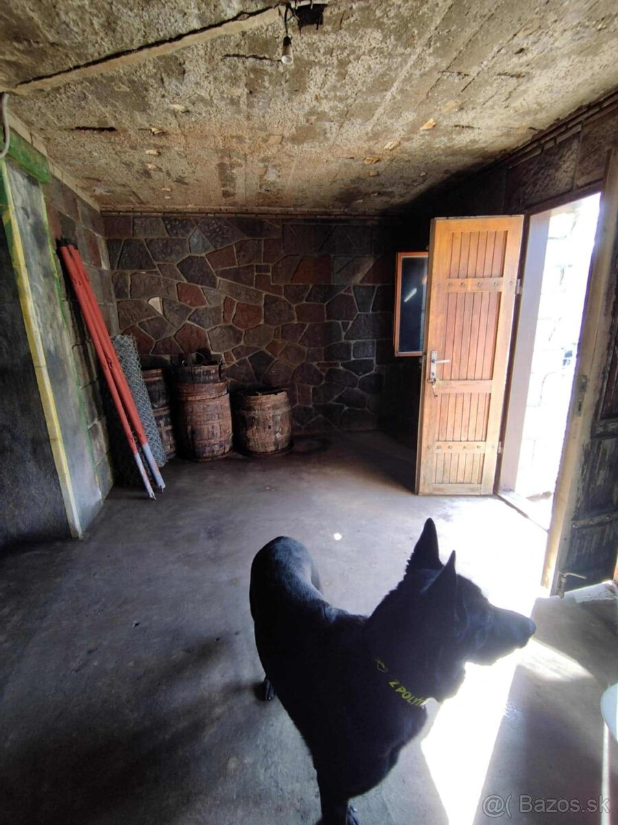 Záhrada, pivnica - 2