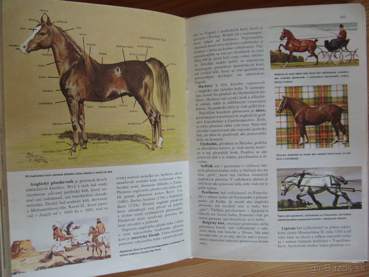 Svet živočišnej ríše - 2