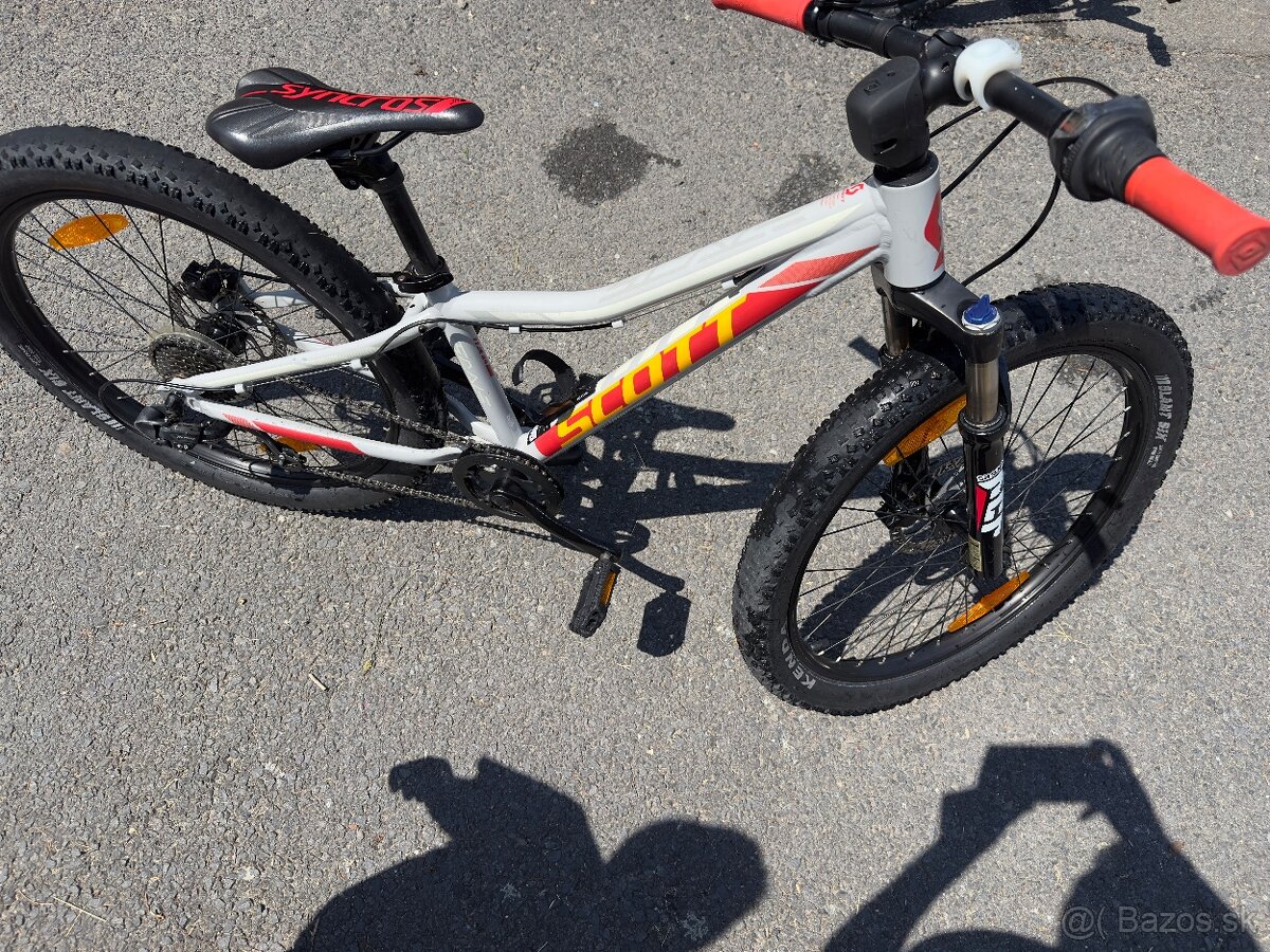 Scott scale plus 24 - 2