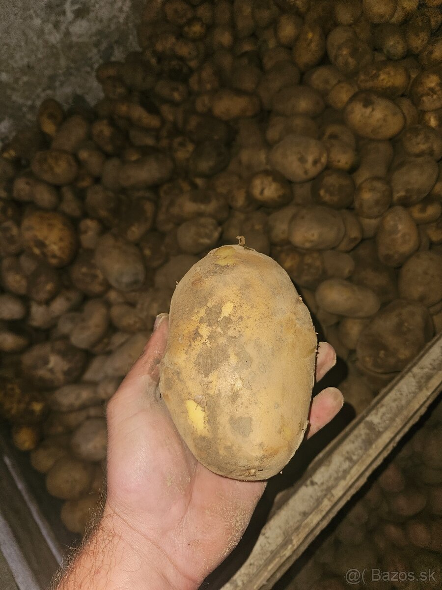 Zemiaky - 2