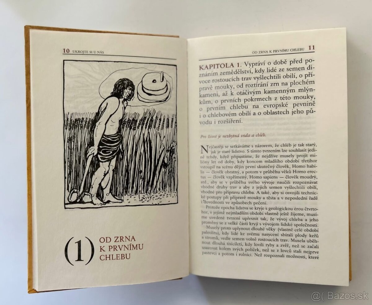 Chlieb - história … - 2