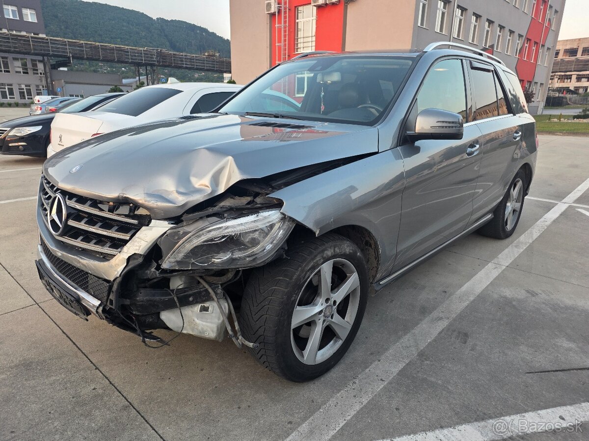 Ml 250 w166 - 2