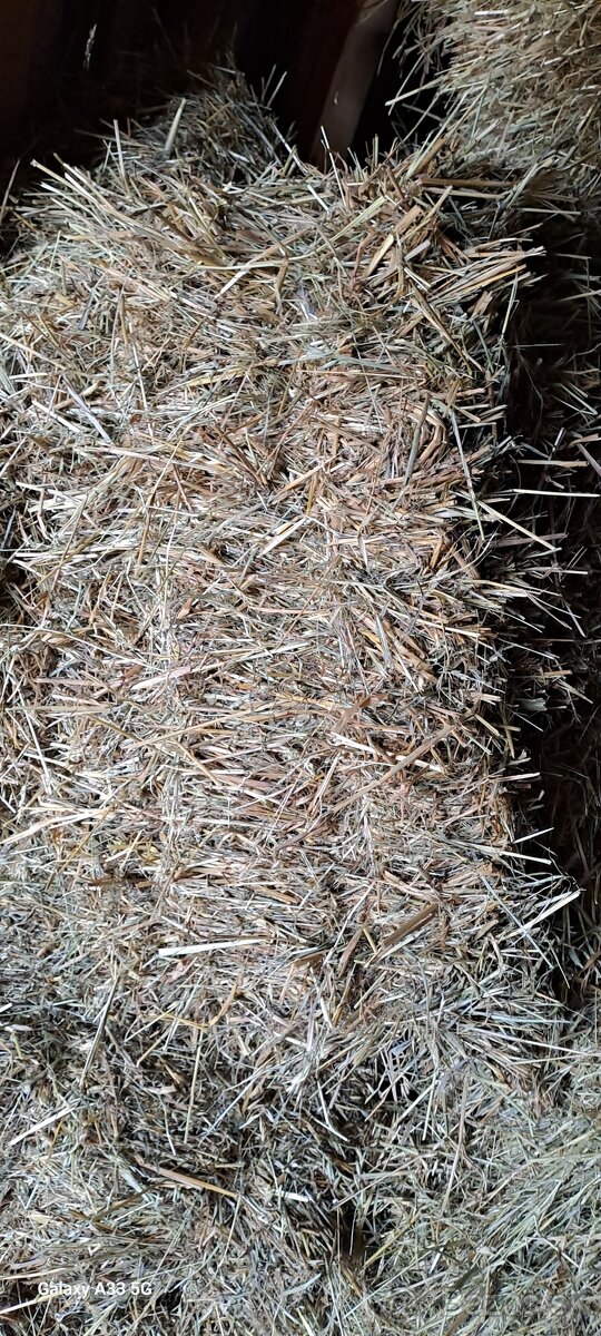 Predam slamu - 2