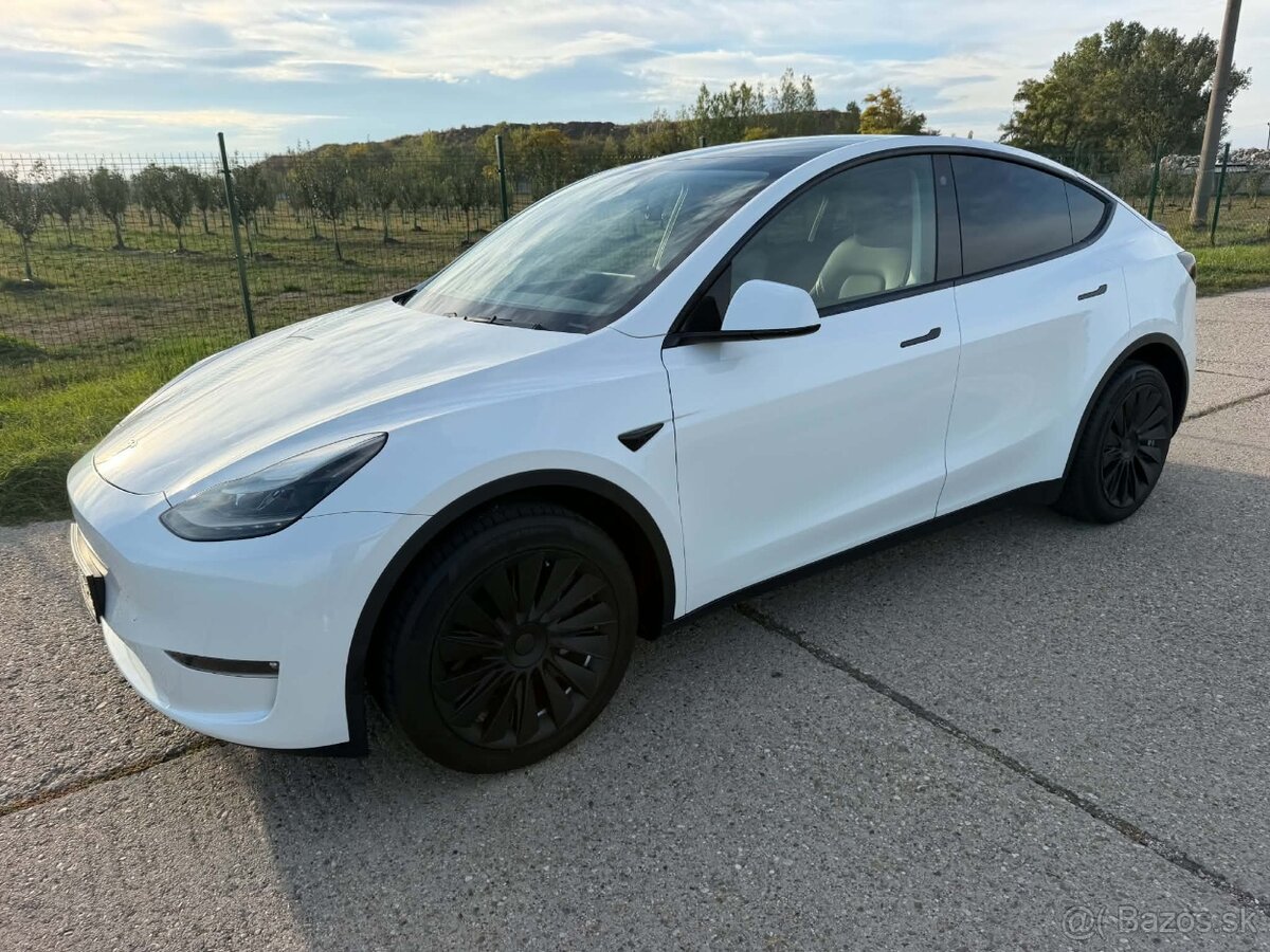 Tesla Model Y Long Range Dual Motor - 2