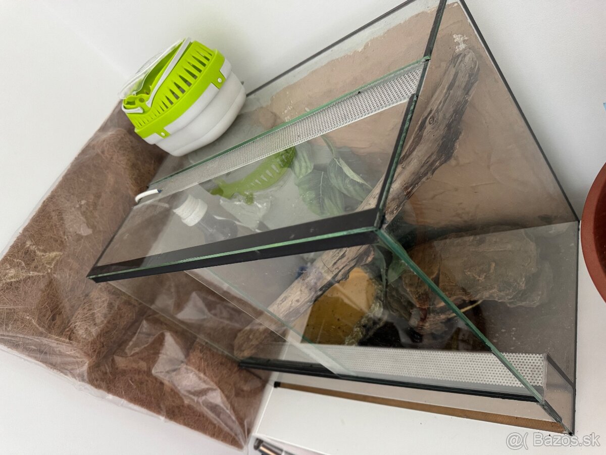 Pytón s celým vybavením - 2