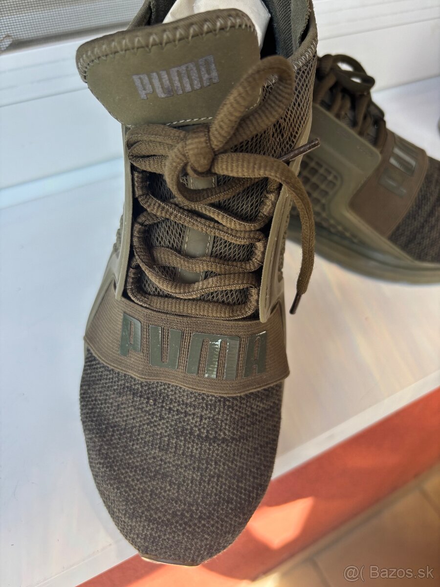 PUMA - 2