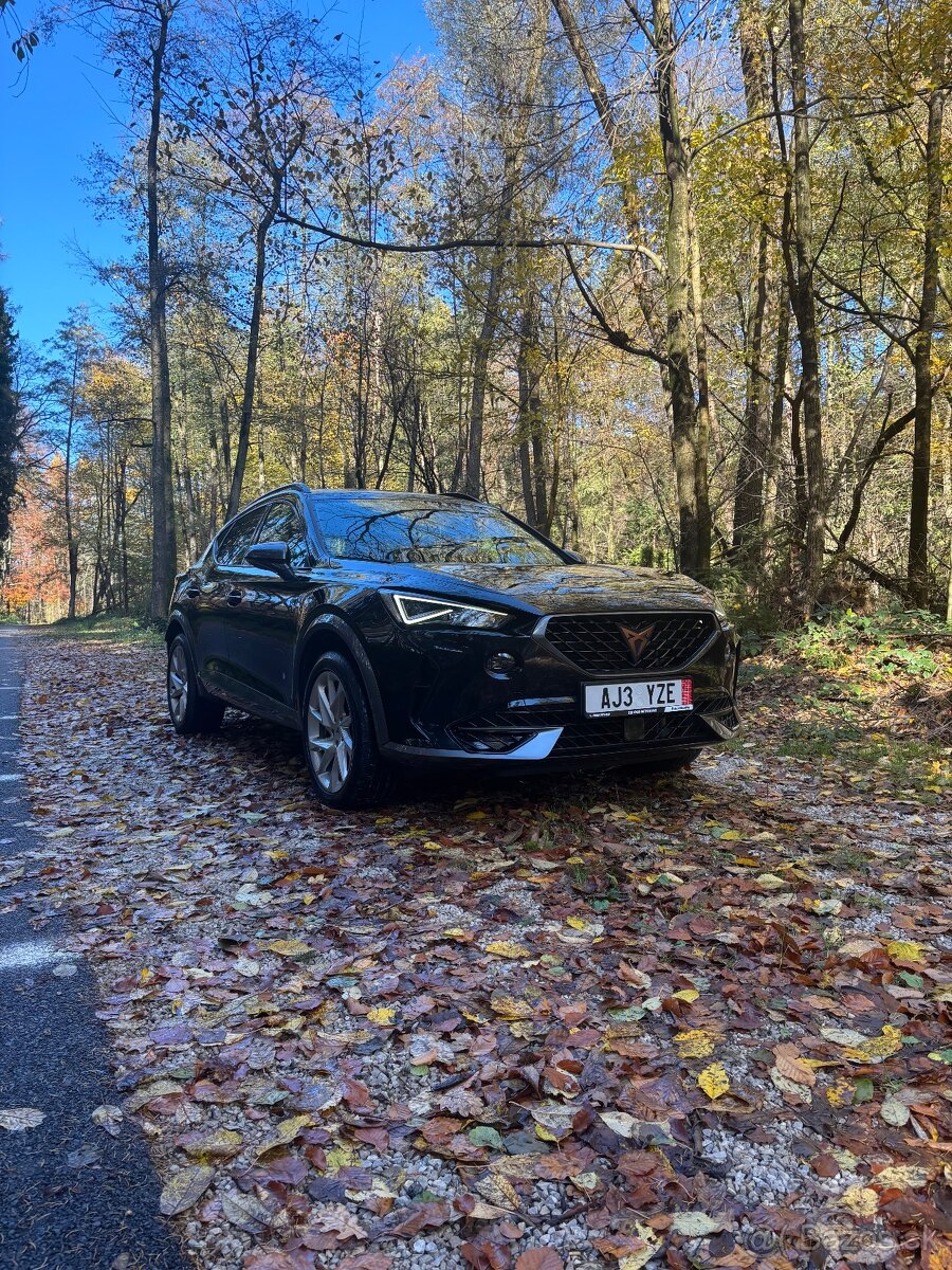 Cupra Formentor 2.0 TSI 140kw, 4x4, A7, zimné pneu Alpin 5 - 2