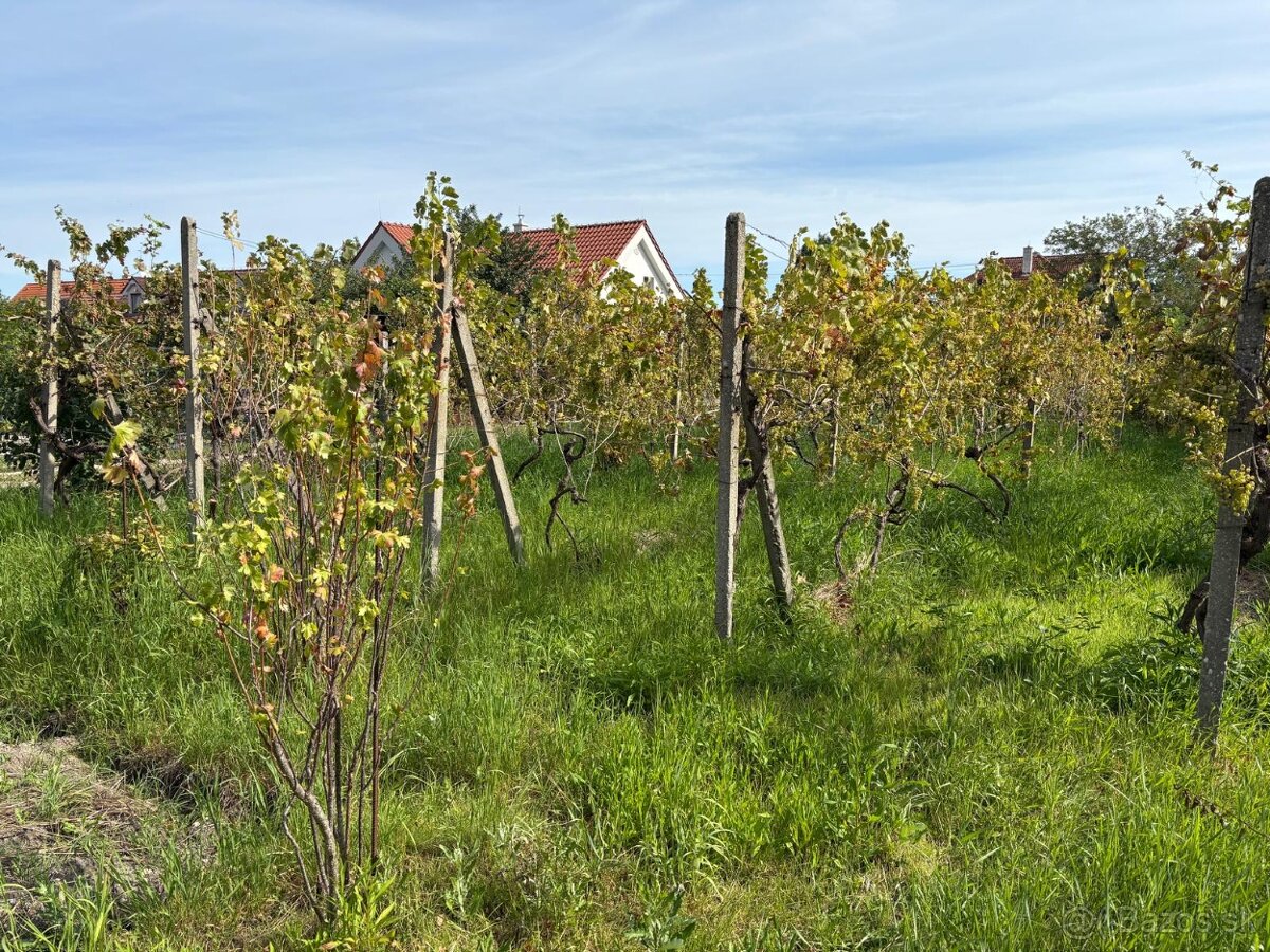 Prenájom záhrady vo Vajnoroch - 2